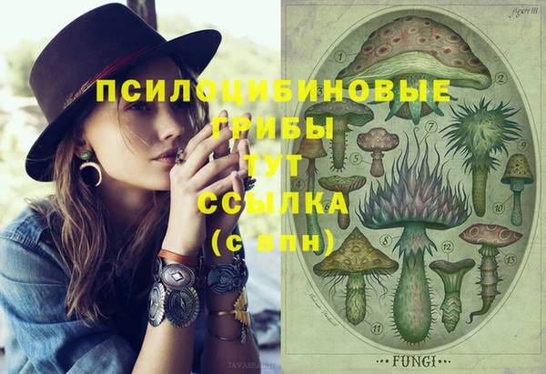 круглые Алзамай